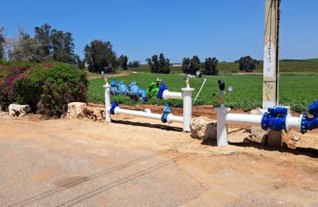 פיקוח וניהול פרוייקטים